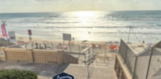 Natasha Lyonne chi è? Biografia, età, altezza, malattia, carriera, figli e marito, Instagram e vita privata Natasha Lyonne chi è