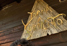 Lapponia, I Love Iú con Erasmo Genzini: trama, cast, di cosa parla e significato del film