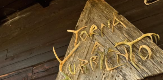 Lapponia, I Love Iú con Erasmo Genzini: trama, cast, di cosa parla e significato del film