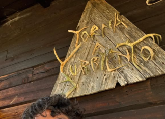 Lapponia, I Love Iú con Erasmo Genzini: trama, cast, di cosa parla e significato del film