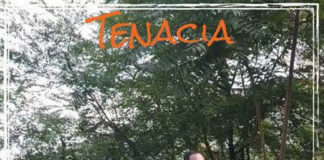“Tenacia” di Don Pasquale Ferone: il nuovo brano che parla all’anima
