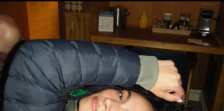 Aurora Perrineau chi è
