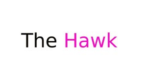The Hawk: di cosa parla, cast completo, trama e dove vederla The Hawk: di cosa parla, cast completo, trama e dove vederla