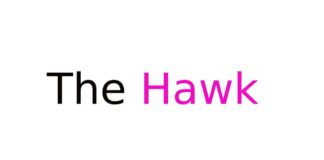 The Hawk: di cosa parla, cast completo, trama e dove vederla