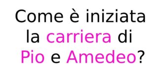 Come è iniziata la carriera di Pio e Amedeo