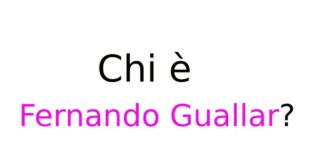 Chi è Fernando Guallar?