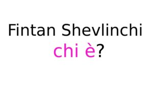 Fintan Shevlinchi CHI è Fintan Shevlinchi chi è
