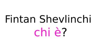 Fintan Shevlinchi chi è