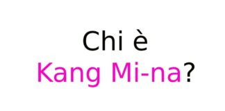 Kang Mi-na chi è
