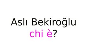 Aslı Bekiroğlu chi è?