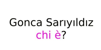 Gonca Sarıyıldız chi è