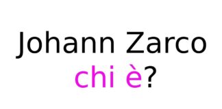 Johann Zarco chi è