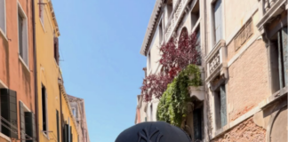 Come ha avuto inizio la carriera di Anna Valle?