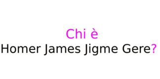 Chi è Homer James Jigme Gere?