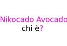 Nikocado Avocado chi è? Biografia, età, peso, vero nome, carriera, Mukbang, YouTube e vita privata Nikocado Avocado chi è?