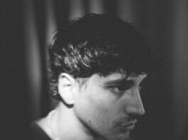 Giulio Domi chi è