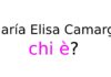 María Elisa Camargo chi è? Età, biografia, film e serie TV, figli e marito, Instagram e vita privata María Elisa Camargo chi è