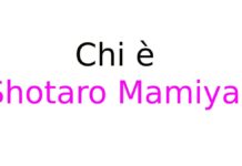 Chi è Shotaro Mamiya? Biografia, film, serie TV e carriera, Instagram e vita privata Chi è Shotaro Mamiya?